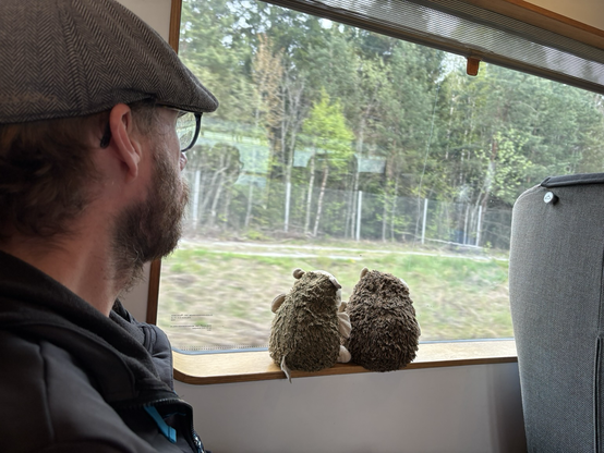 Ein Mann schaut aus einem Zugfenster. Zwei Stoffigel sitzen auf dem Fensterbrett und schauen auch raus. Aus dem Fenster heraus sind Bäume und Wiesen zu sehen.
