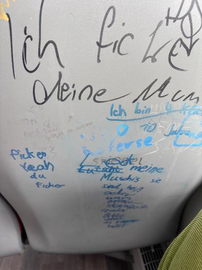 die Rückseite eines Bussitzes mit alleilei unflätigen Schmierereien von (vermutlich) jugendlichen Personen