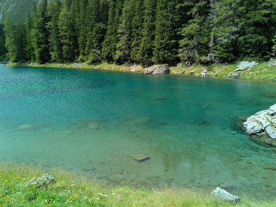 Teil eines Sees. Der See hat unterschiedliche Grüntöne. Am Ufer leuchtend grünes Gras und dahinter Nadelwald. 
