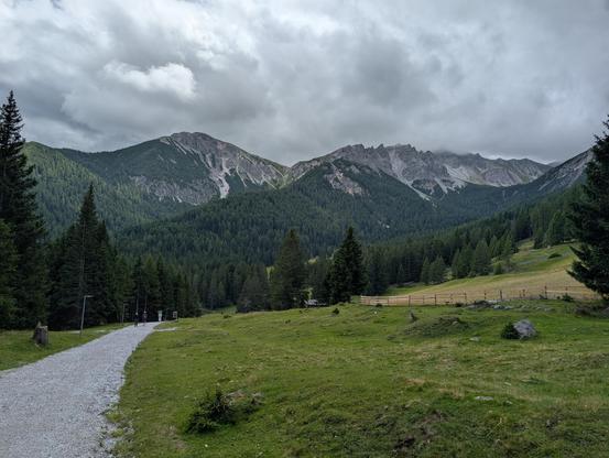 Berglandschaft. Ein breiter Schotterweg, grüne und hellbraune Wiesen. Nadelwald und im Hintergrund Berge. 
