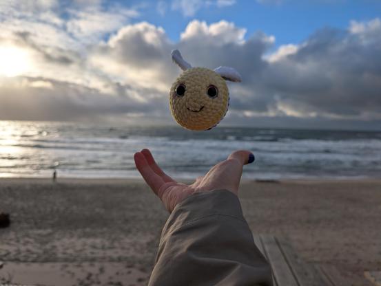 Enbee, the crochet bee, looks directly into the camera. A hand with blue nails some centimeters below the bee. It looks like the bee flies towards the hand. Or that it was thrown from the hand. In the background the sand beach and the ocean. 