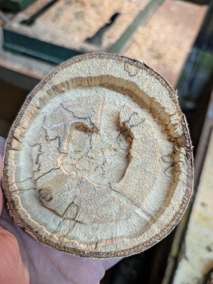 Die Rückseite der Holzschscheibe. Außen eine kreisrunde und innen eine rechteckige Ausfräsung. 